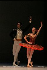 15. Ballet (Don Quixote)