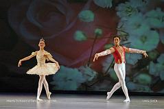8. Ballet (Sleeping Beauty)